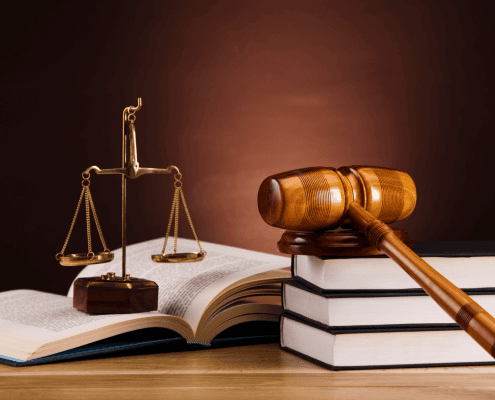 litigation lawyer