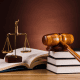 litigation lawyer